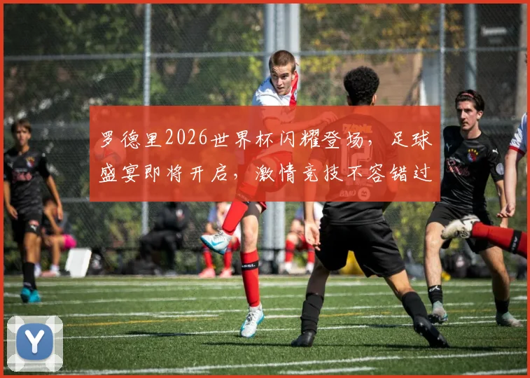 罗德里2026世界杯闪耀登场，足球盛宴即将开启，激情竞技不容错过，敬请期待