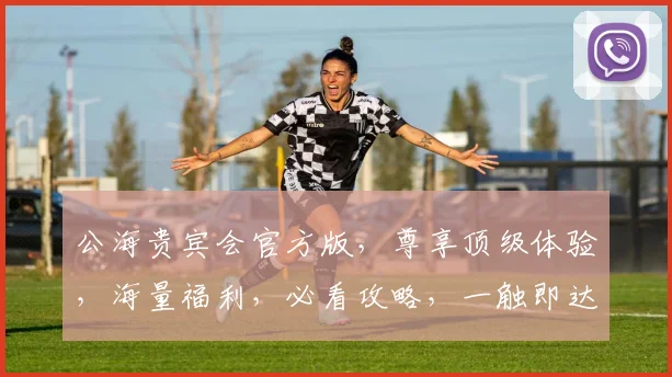 公海贵宾会官方版，尊享顶级体验，海量福利，必看攻略，一触即达，精彩不停
