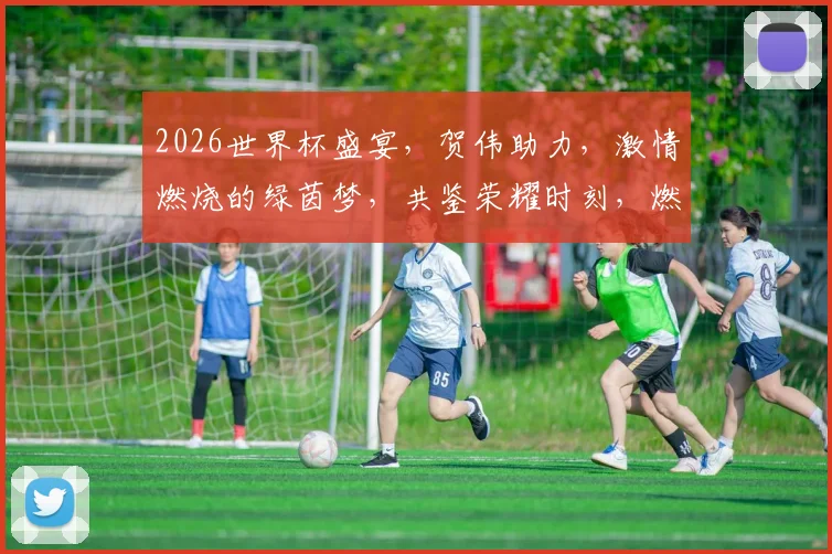 2026世界杯盛宴，贺伟助力，激情燃烧的绿茵梦，共鉴荣耀时刻，燃情启航